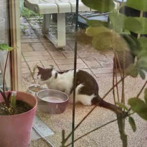   at Cosmos Grocery Cafe in Seoul