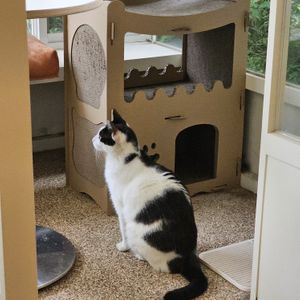   at Cosmos Grocery Cafe in Seoul