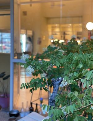 Greener  at Cosmos Grocery Cafe in Seoul