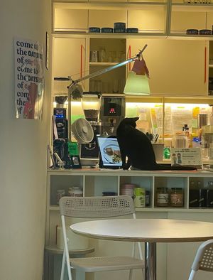 Pet friendly  at Cosmos Grocery Cafe in Seoul