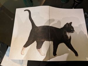  at Cosmos Grocery Cafe in Seoul