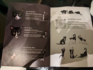  at Cosmos Grocery Cafe in Seoul