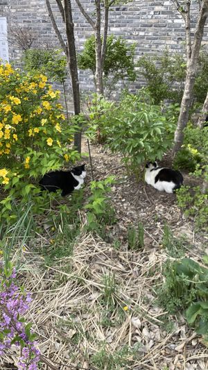   at Cosmos Grocery Cafe in Seoul