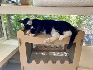   at Cosmos Grocery Cafe in Seoul