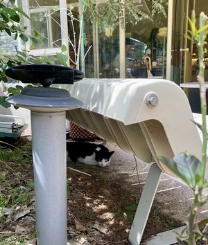   at Cosmos Grocery Cafe in Seoul