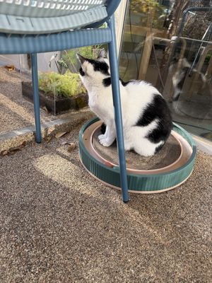   at Cosmos Grocery Cafe in Seoul