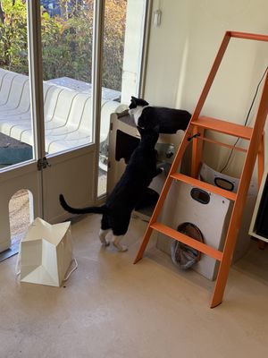   at Cosmos Grocery Cafe in Seoul