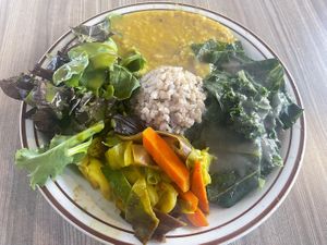 Healthy and delicious!!'  at Himalaya Vegan in Sacramento