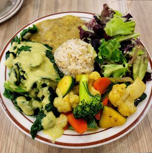 Moderate Plate #Veganuary at Himalaya Vegan in Sacramento