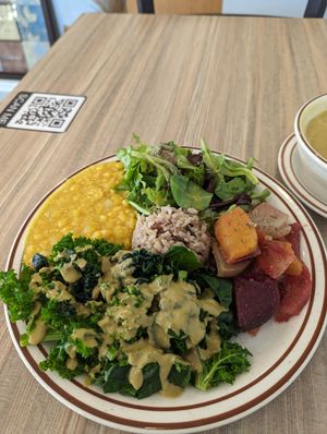 This is the main plate... One choice for the day! at Himalaya Vegan in Sacramento
