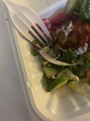 Eyelash under falafels?  at Shawarma & Falafel City in Calgary