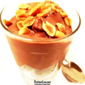 Vegan Chocolate Mousse at Green Vegetarian Restaurant and Bar in Brisbane