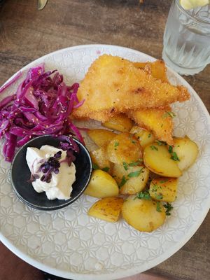  at Vegan House in Prague