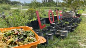 Wonderful meal out on the Farm!  at The Vegan Restaurants in Loxahatchee Groves