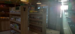  at Loving Hut - Meditation Center in Ulaanbaatar