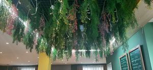  at Loving Hut - Meditation Center in Ulaanbaatar