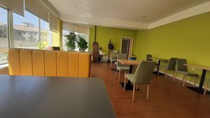  at Loving Hut - Meditation Center in Ulaanbaatar