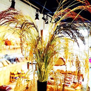 The 2nd floor organic store display is a variety of colorful organic rice varieties, which are also for sale. at Vegans Cafe and Restaurant in Kyoto