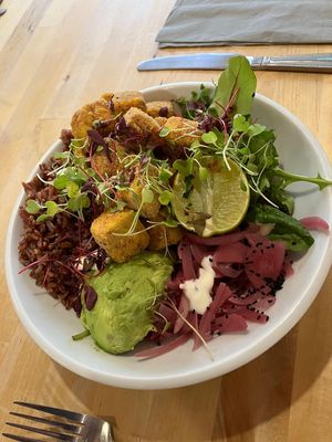 Fabulouse tofu poke bowl  at The Courtyard in Portsmouth