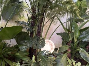   at Guru Chay in Da Lat