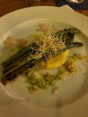  at The Botanist in Zadar