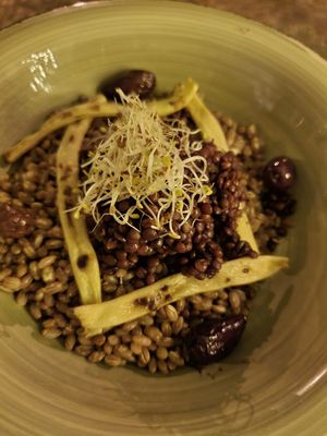  at The Botanist in Zadar