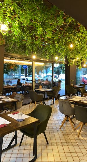   at The Botanist in Zadar