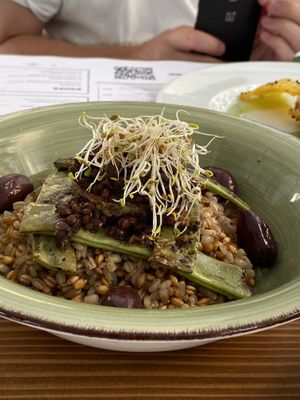   at The Botanist in Zadar