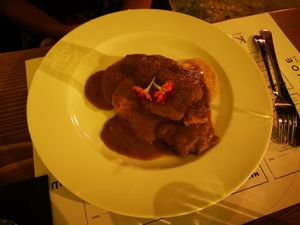 Common Cockchafer 😋 at The Botanist in Zadar