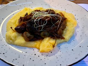 Tasseled wobbegong at The Botanist in Zadar