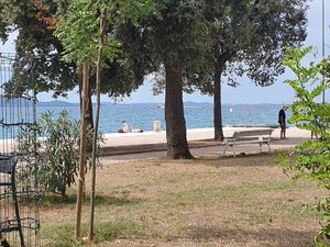  at The Botanist in Zadar