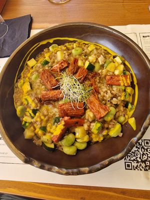  at The Botanist in Zadar