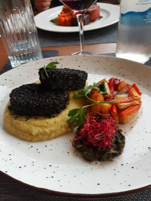  at The Botanist in Zadar