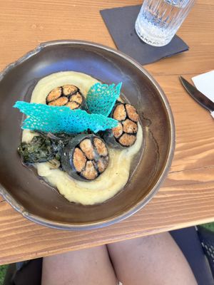 OLM  at The Botanist in Zadar