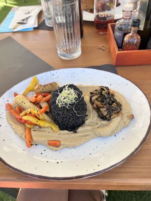 Thumbetlina horse  at The Botanist in Zadar