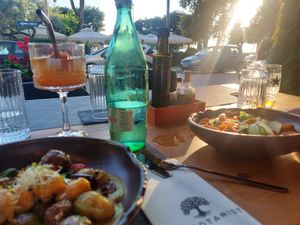  at The Botanist in Zadar