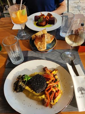  at The Botanist in Zadar