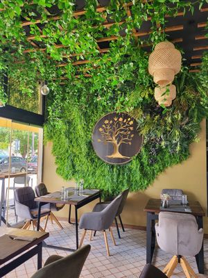  at The Botanist in Zadar