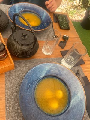  at The Botanist in Zadar