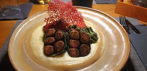  at The Botanist in Zadar