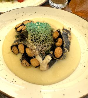 Olm  at The Botanist in Zadar