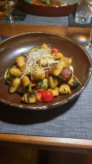  at The Botanist in Zadar