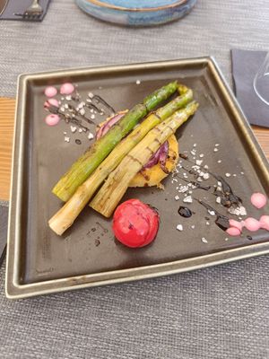  at The Botanist in Zadar