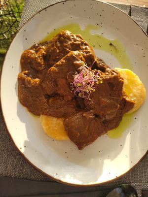  at The Botanist in Zadar