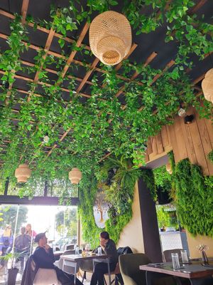  at The Botanist in Zadar