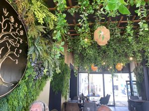   at The Botanist in Zadar