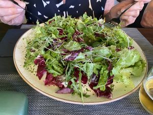   at The Botanist in Zadar