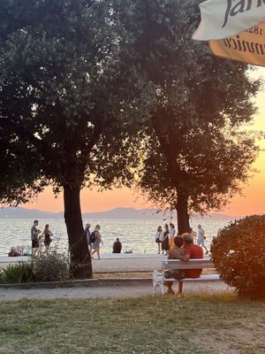   at The Botanist in Zadar