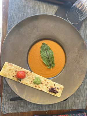 Tomato soup  at The Botanist in Zadar