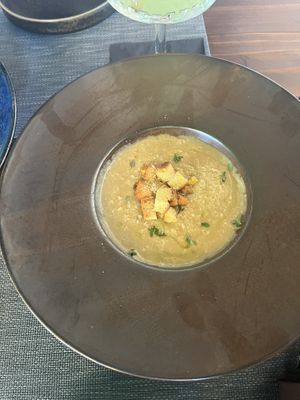   at The Botanist in Zadar